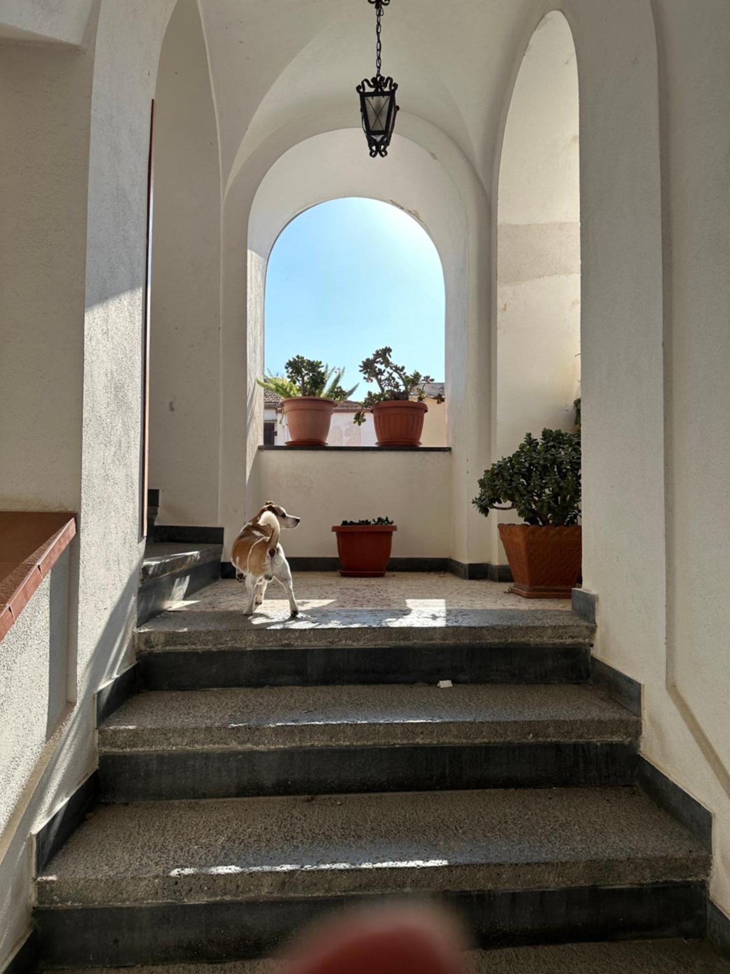 B&B Frai Sorrento Kültér fotó